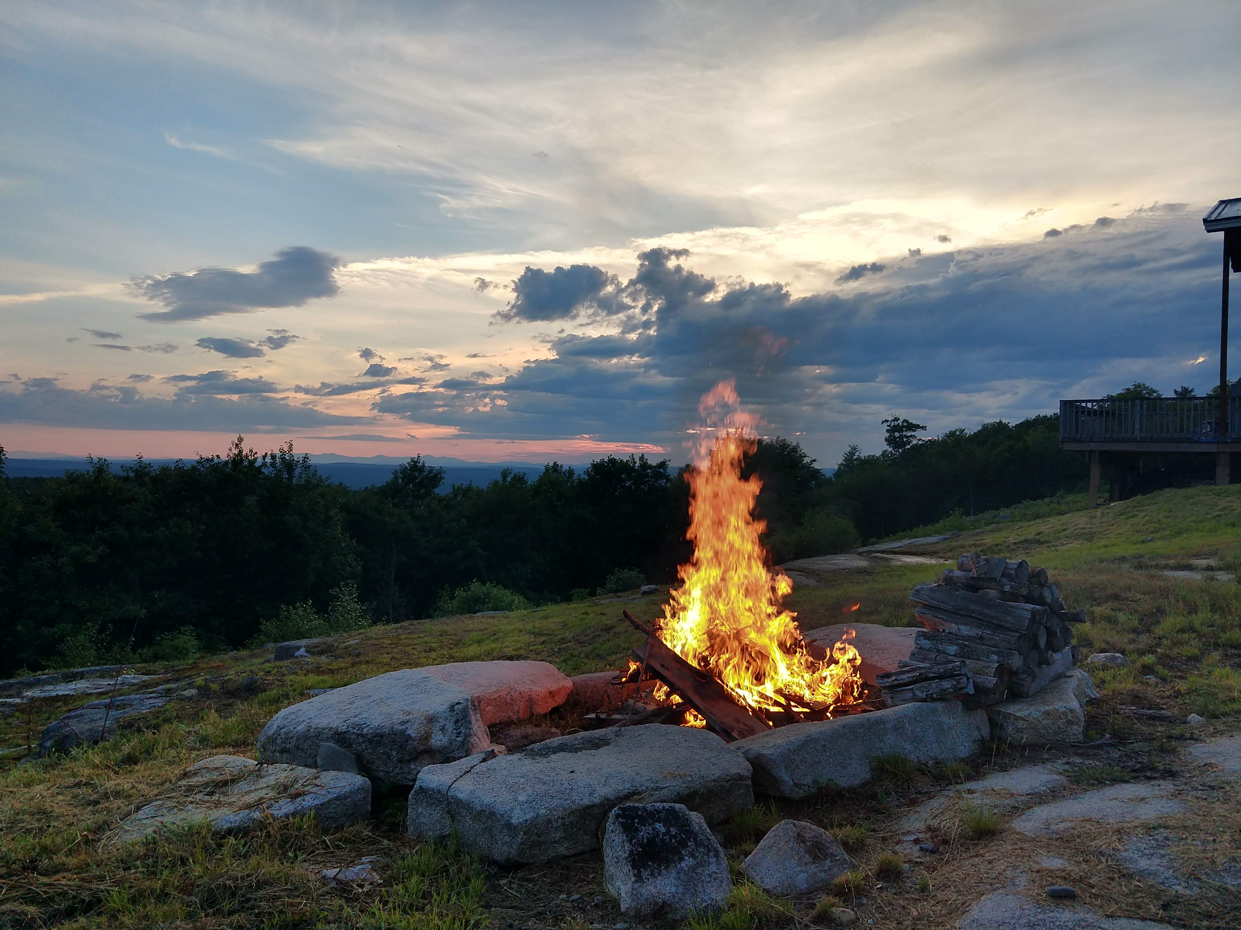 Woodland and natural light at The Albani